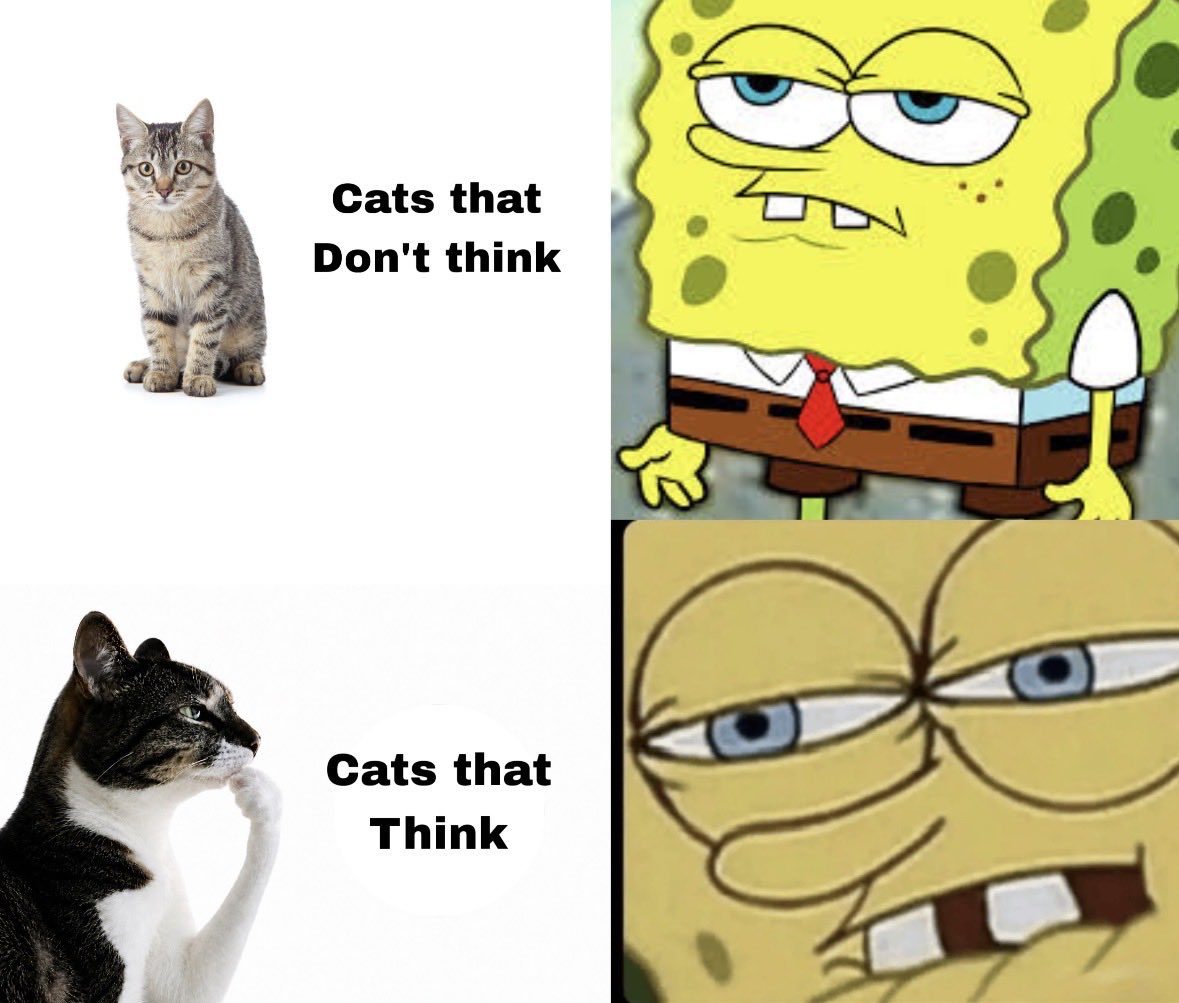 hmm meme