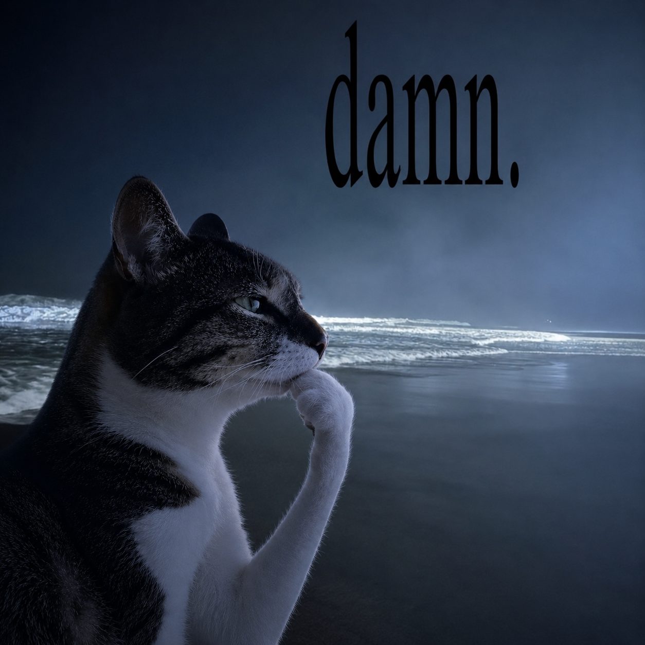 hmm meme
