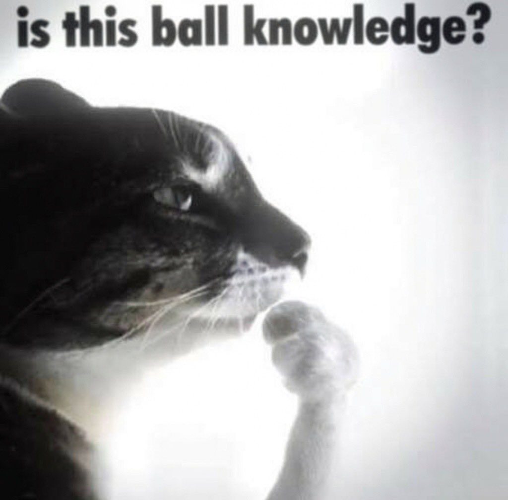 hmm meme
