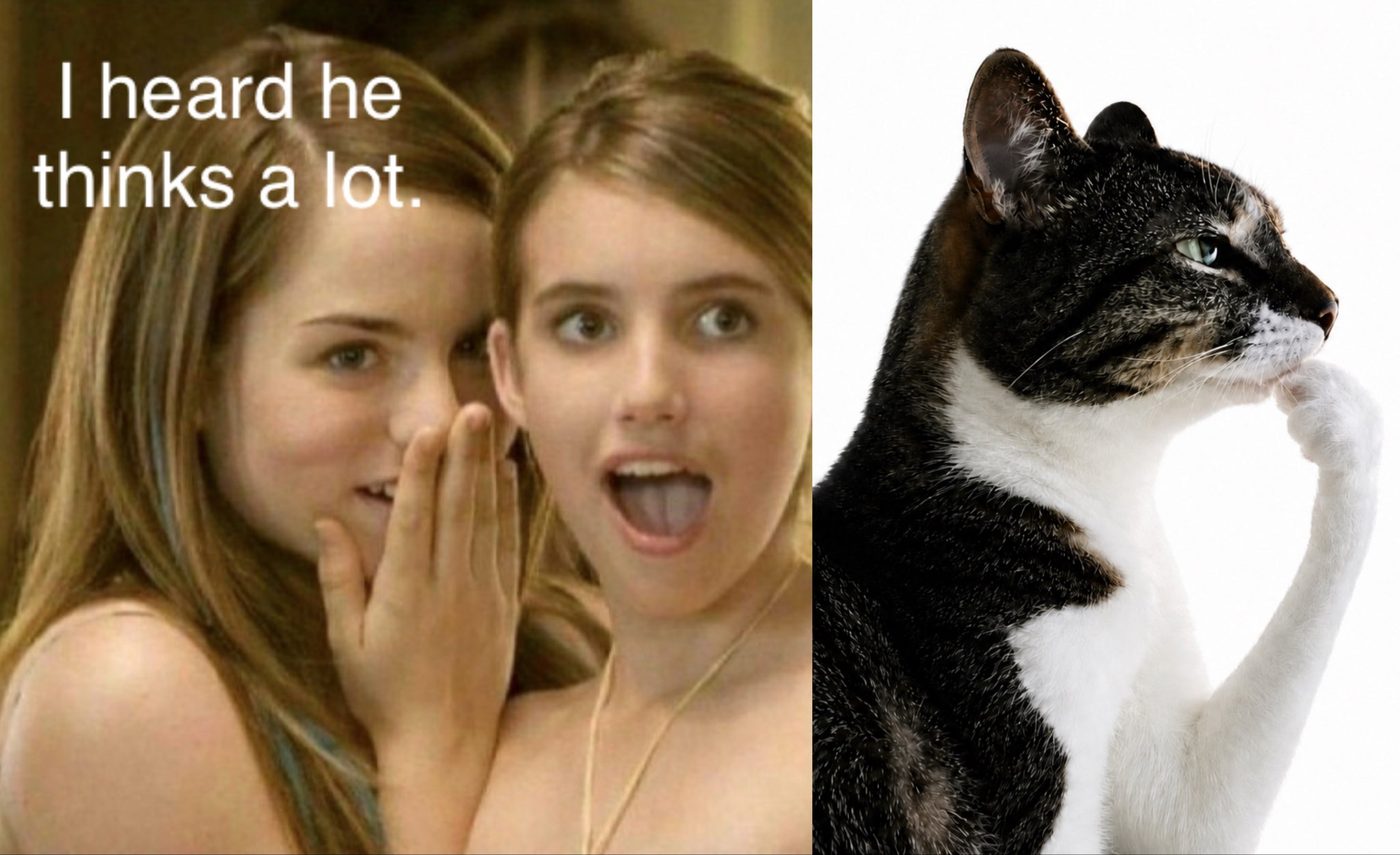 hmm meme