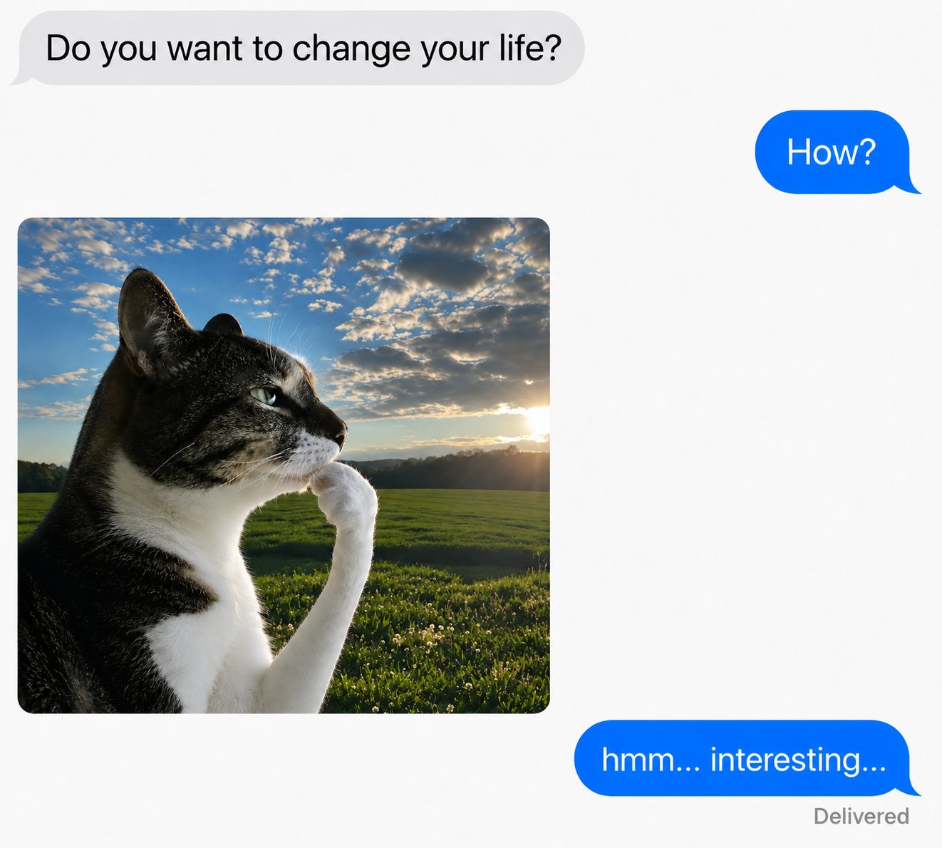 hmm meme