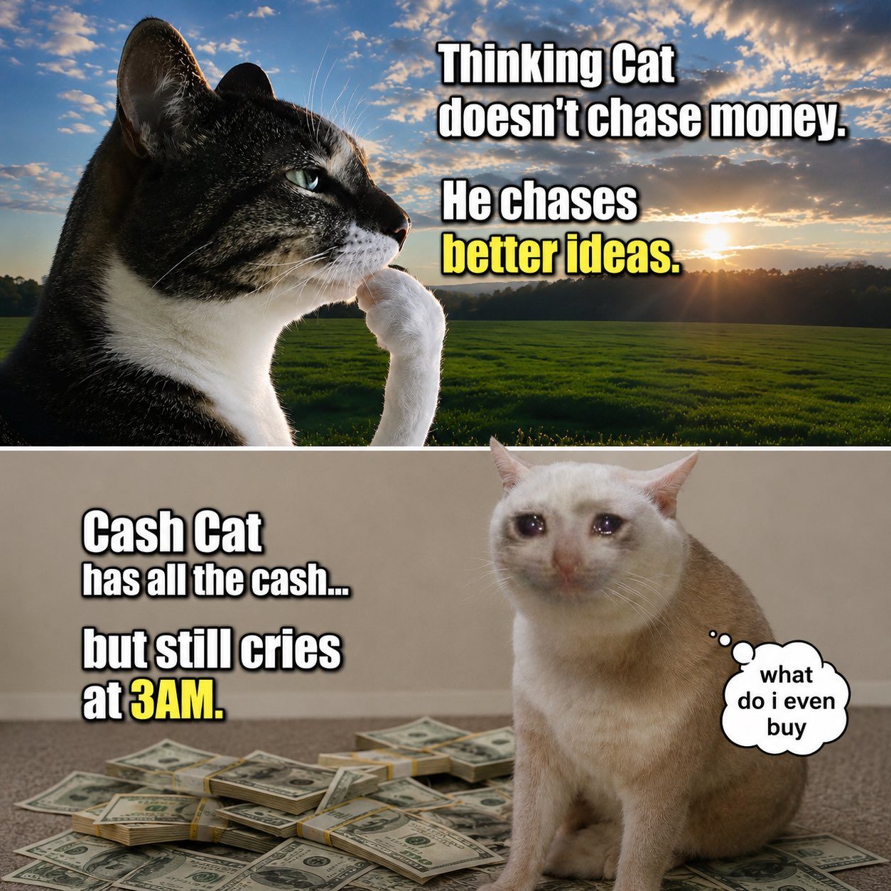 hmm meme