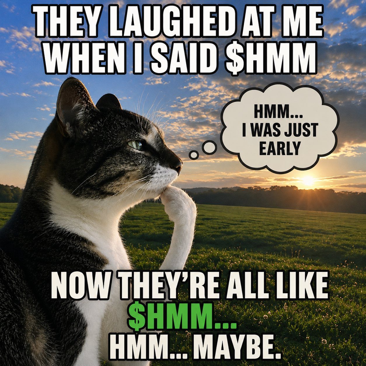 hmm meme